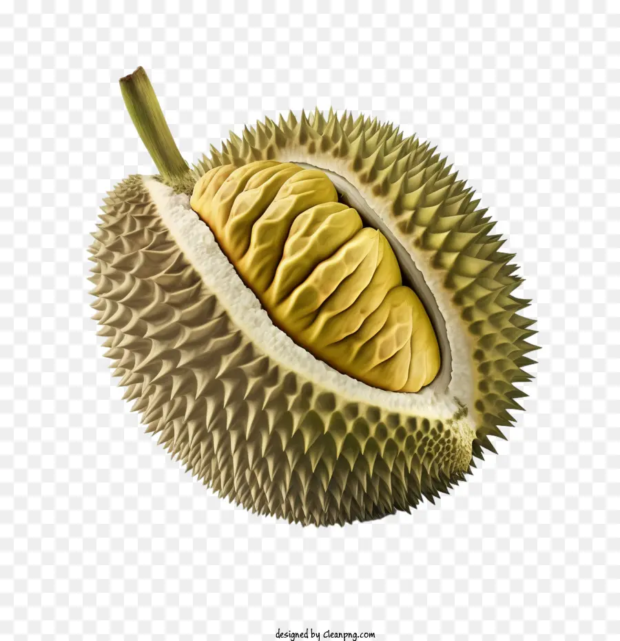 Durian Modelo 3d，Durião PNG