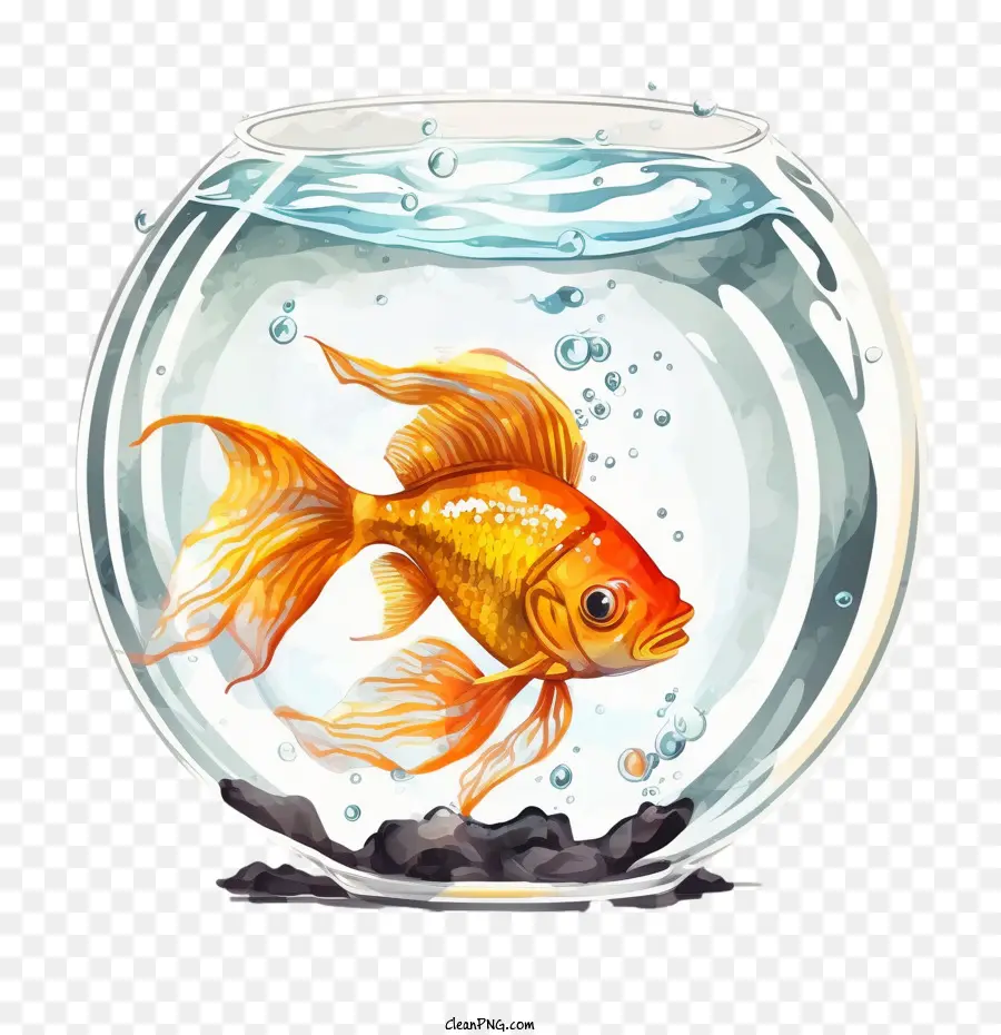 Peixe Dourado，Peixe De Ouro Em Aquarela PNG