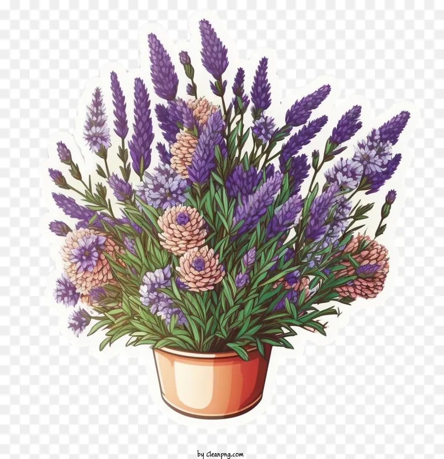 Lavanda Fofa，Lavanda Na Panela PNG