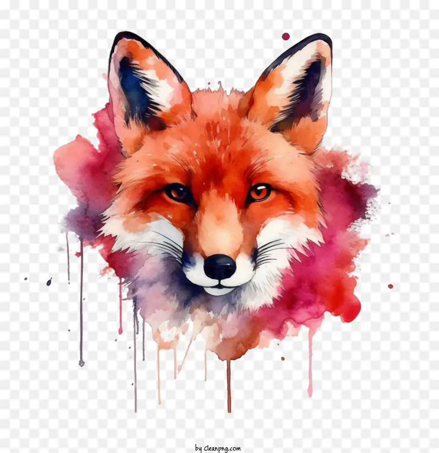 Fox，Aquarela Fox PNG