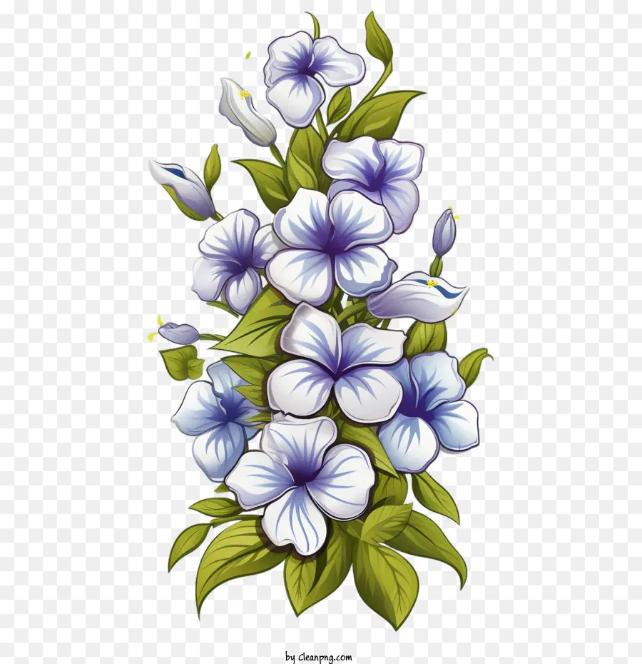 Flor De Vinca，Flores PNG