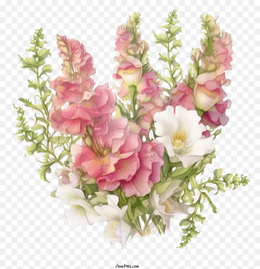 Snapdragon，Flor Snapdragon PNG