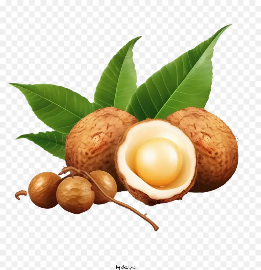 Longan，Longan Frutas PNG