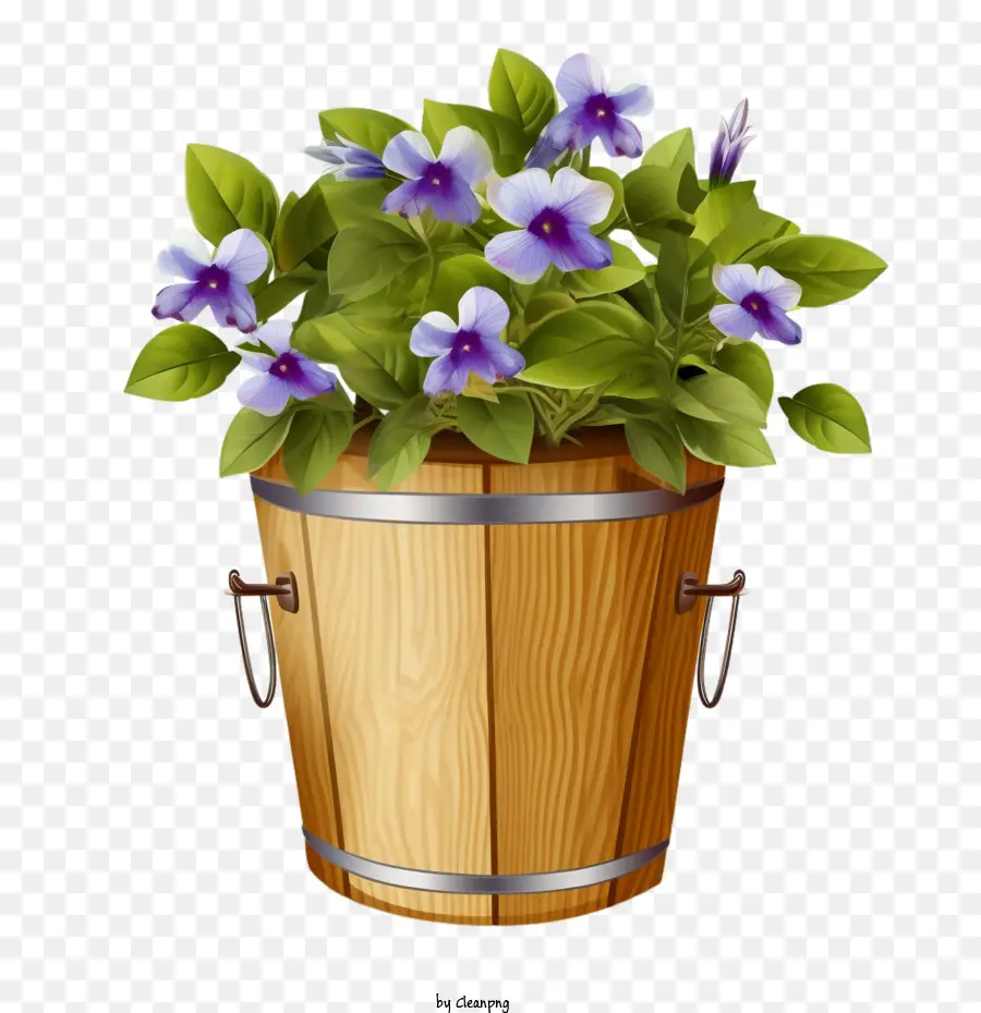 Vinca Flor，Vinca Flower In Bucket PNG