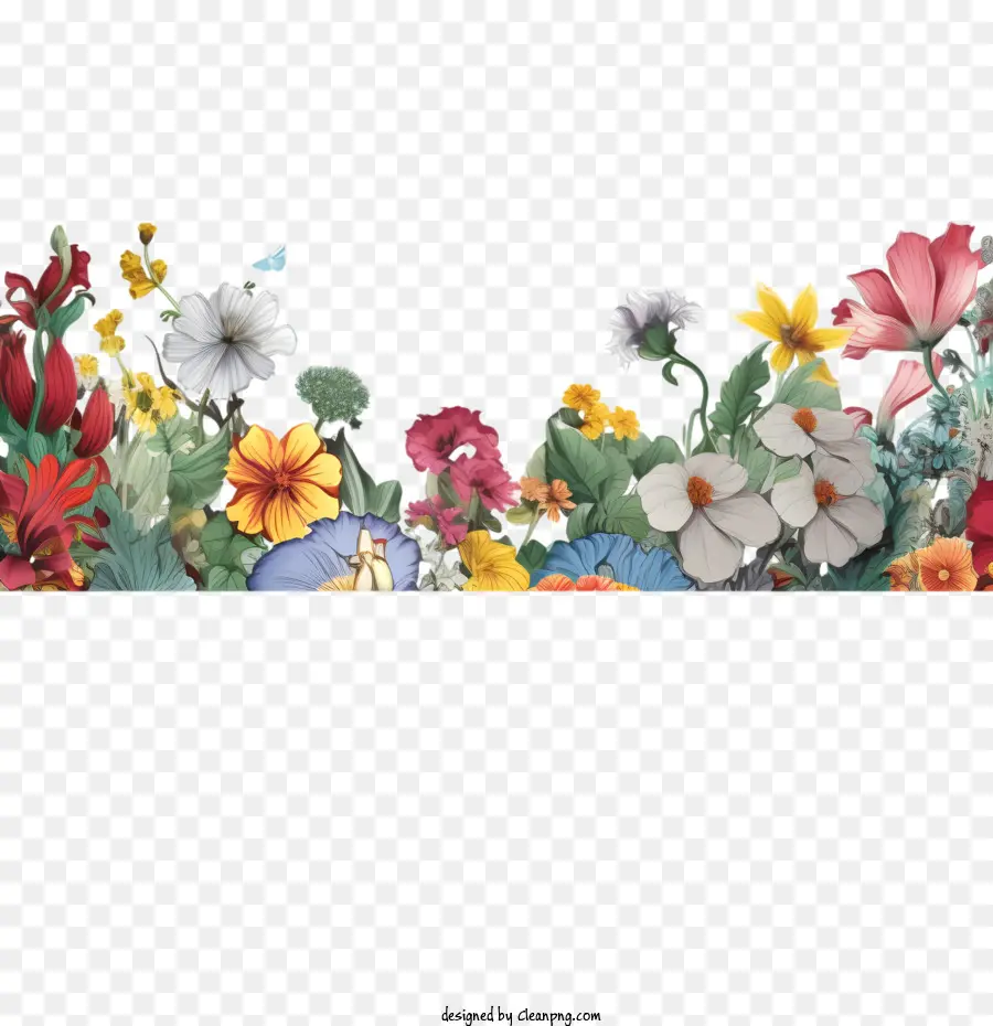 Borda De Flores，Flores Coloridas PNG