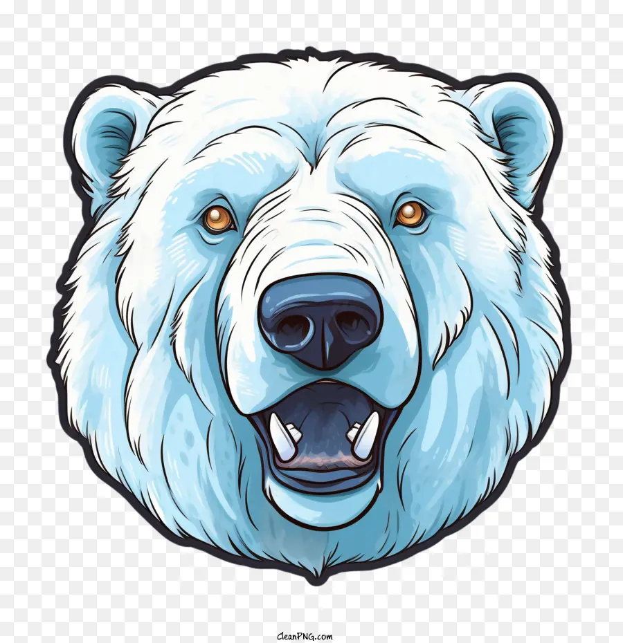 Urso Polar，Urso PNG