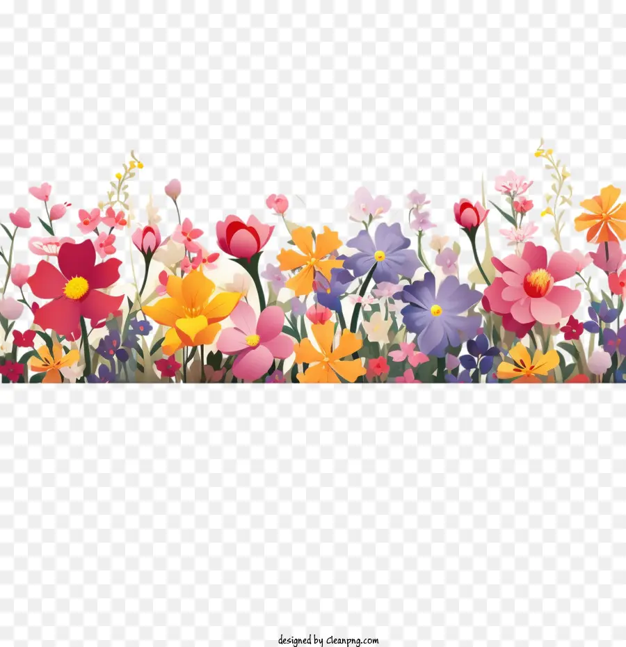 Flor Da Primavera，Borda Da Flor Da Primavera PNG