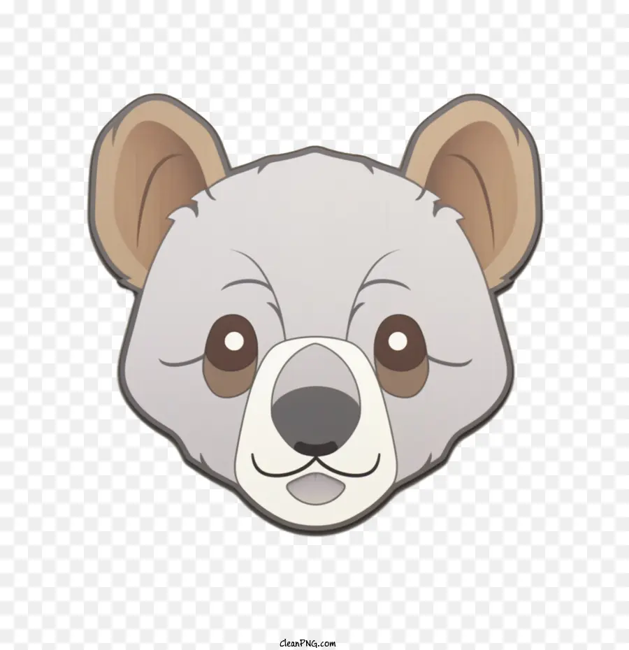 Koala，Urso PNG