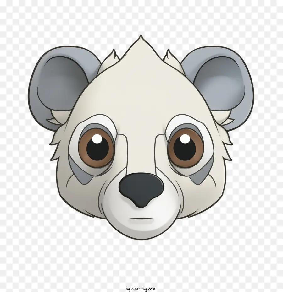 Koala，Urso PNG