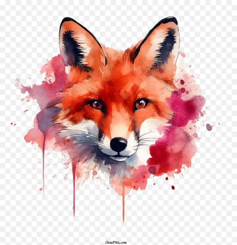 Aquarela Fox，Fox PNG