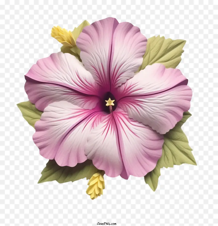 Flor Petúnia，Arte De Papel Petúnia Flor PNG