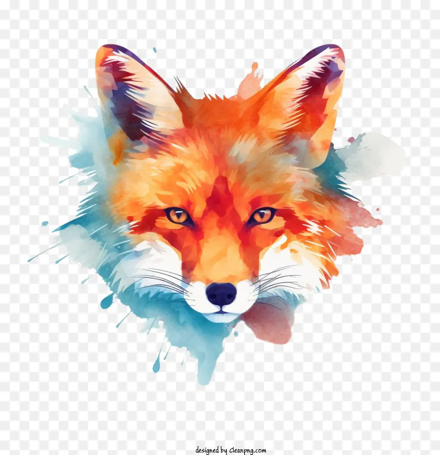 Aquarela Fox，Fox PNG