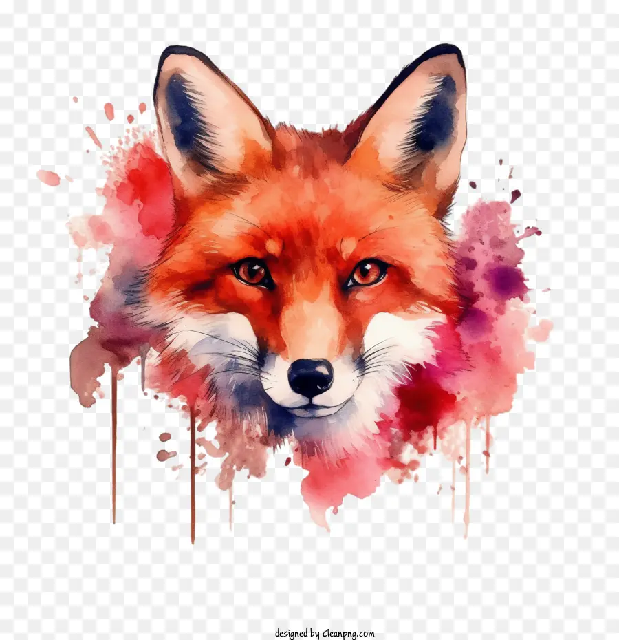 Aquarela Fox，Fox PNG