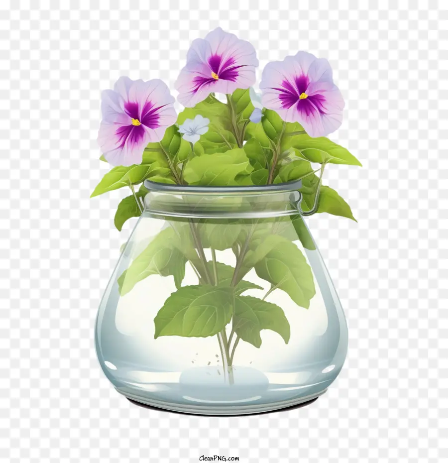 Flor Petúnia，Amores Perfeitos PNG