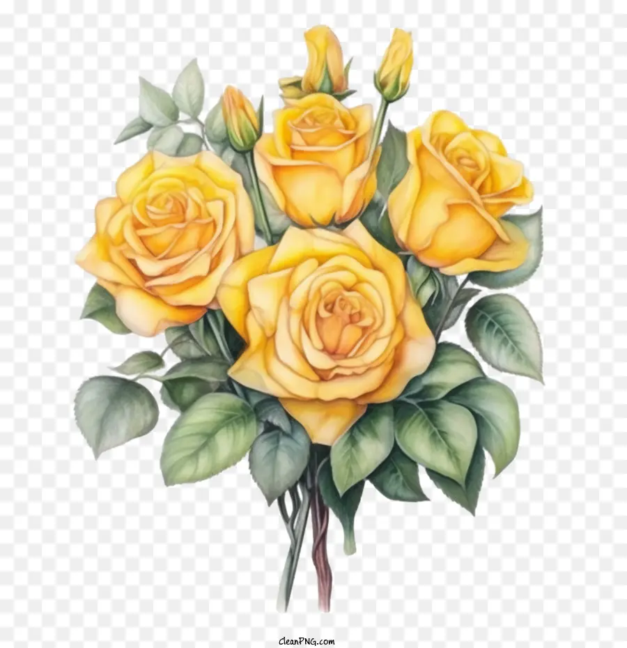 Rosa Amarela，Rosas Amarelas PNG