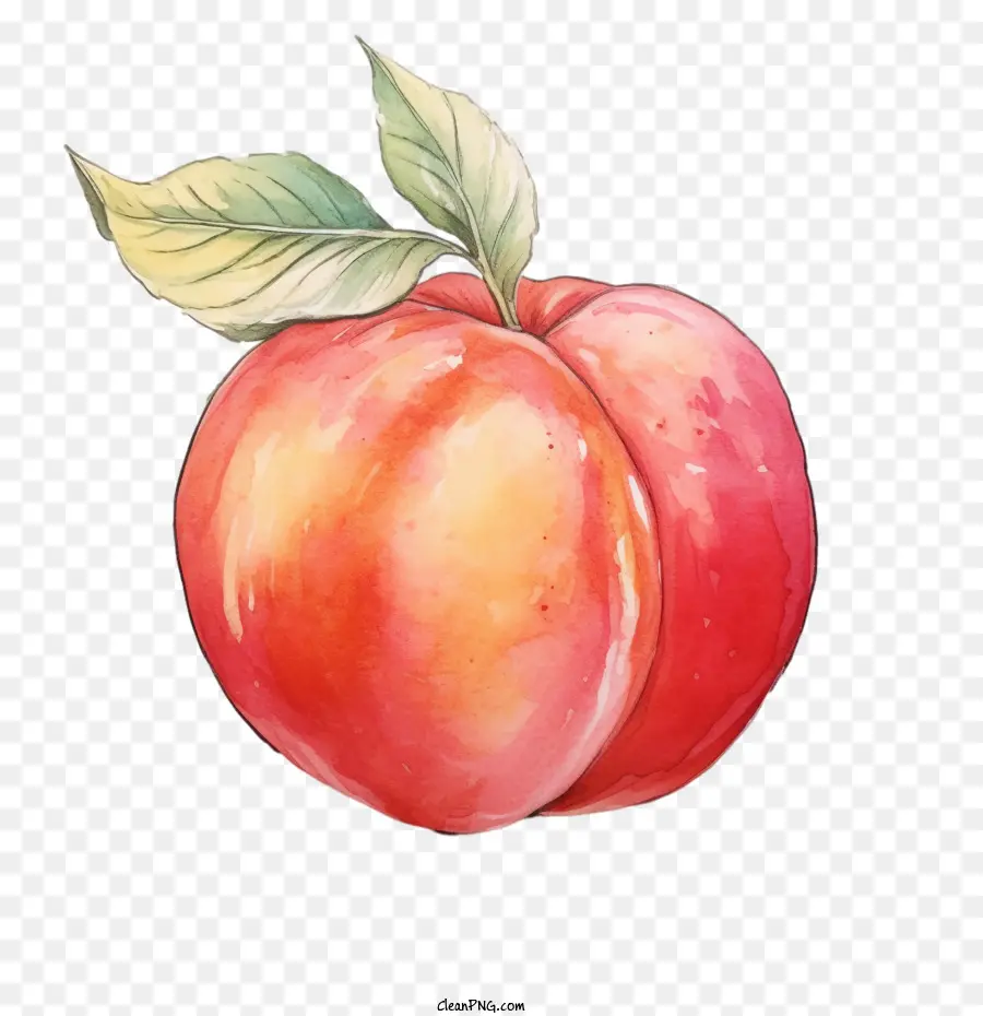 Pêssego，Frutas PNG