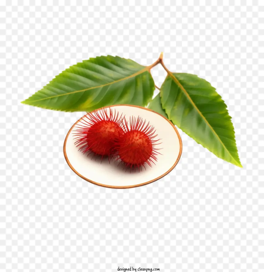 Fruta Rambutan，Frutas Vermelhas Pontiagudas PNG