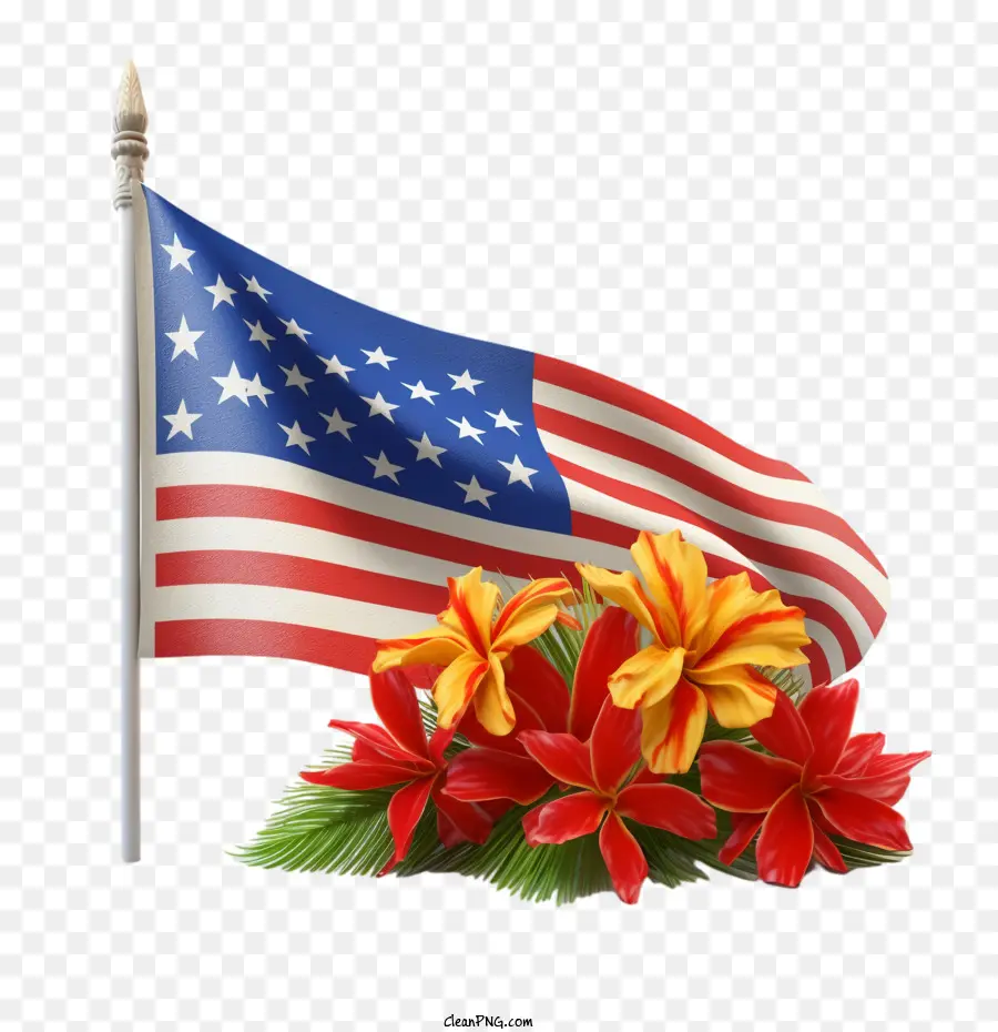 Havaí，Bandeira PNG