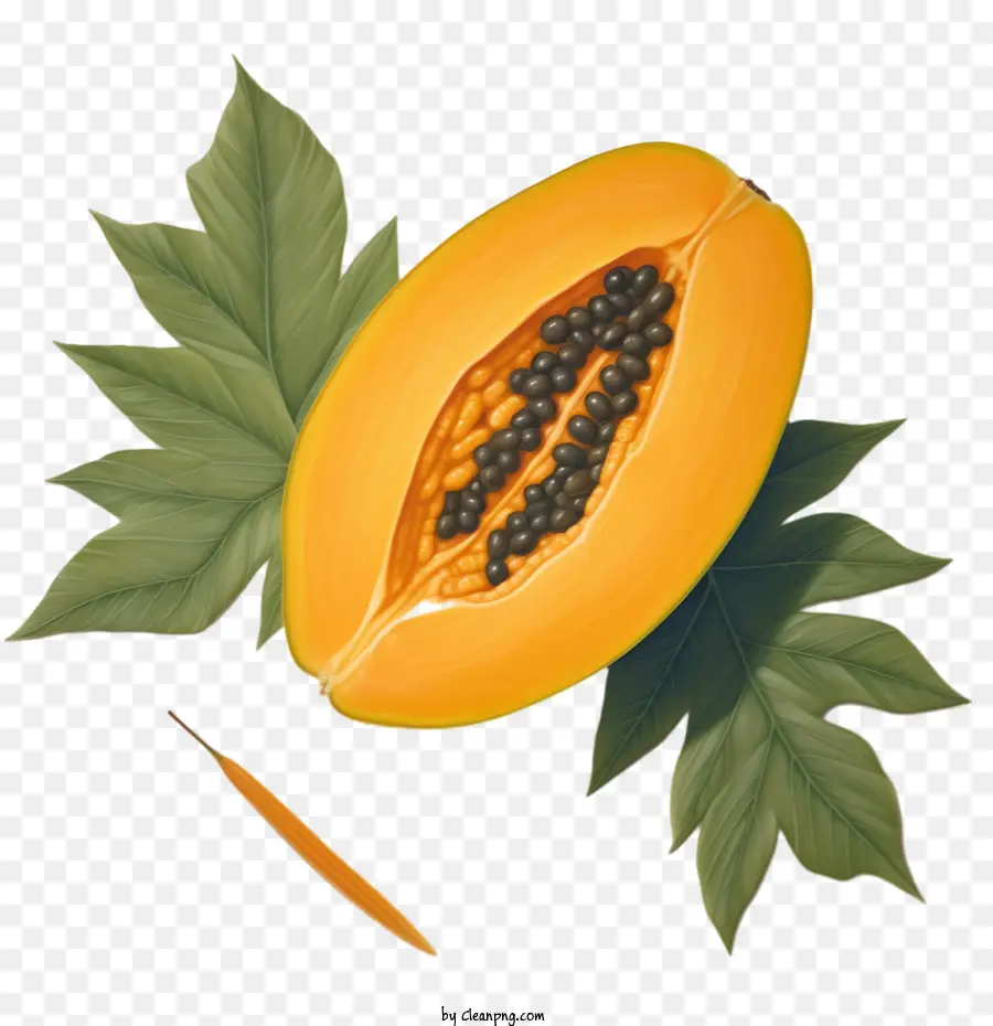 Mamão，O Mamão Fruta PNG