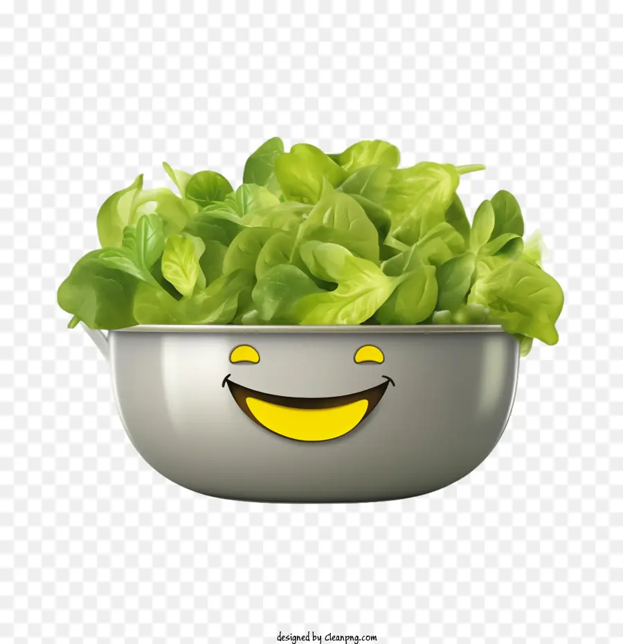 Salada Verde，Alface PNG