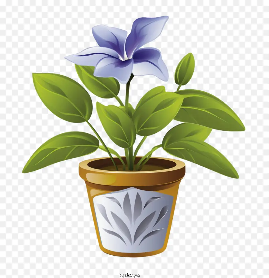 Vinca Flor，Planta De Vaso PNG
