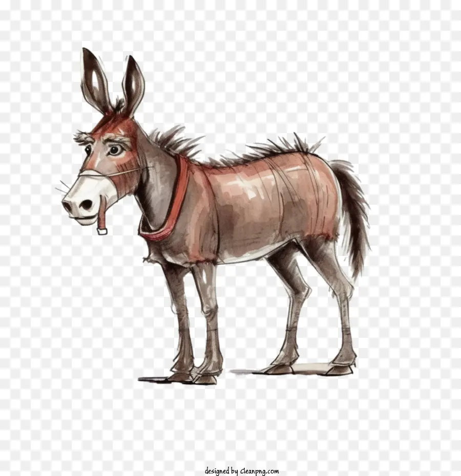 Burro，Burro De Desenho Animado PNG