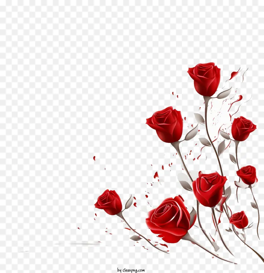 Rosa Vermelha，Rosas PNG