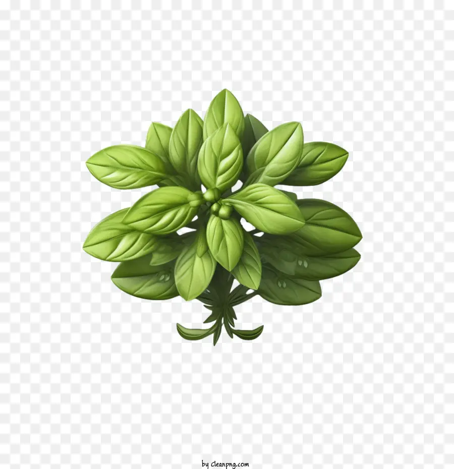 Erva，Planta Verde PNG