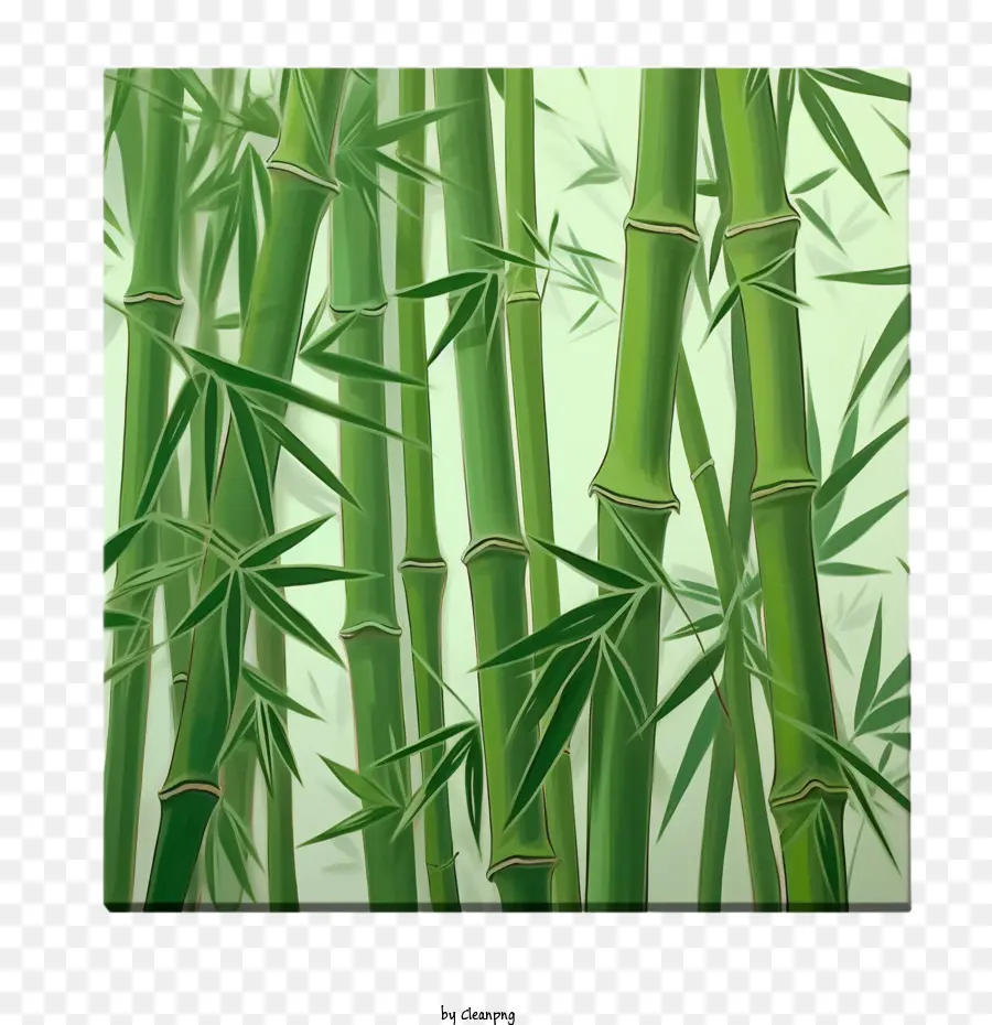 Bambu，Verde PNG