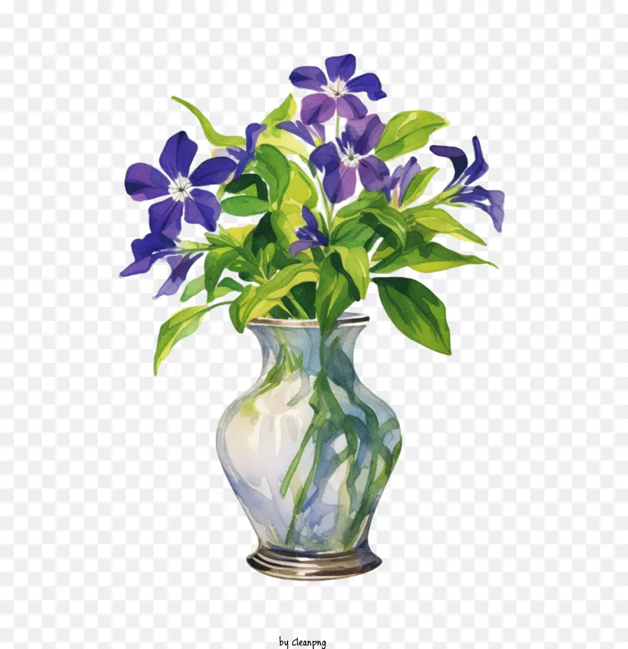 Vinca Flor，Azul PNG