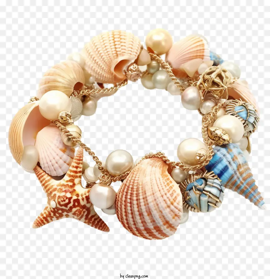 Seashell Quadro，Seashell PNG