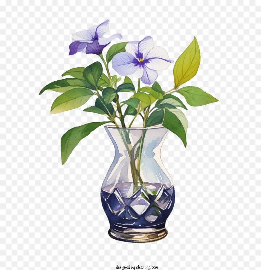 Vinca Flor，Vaso PNG