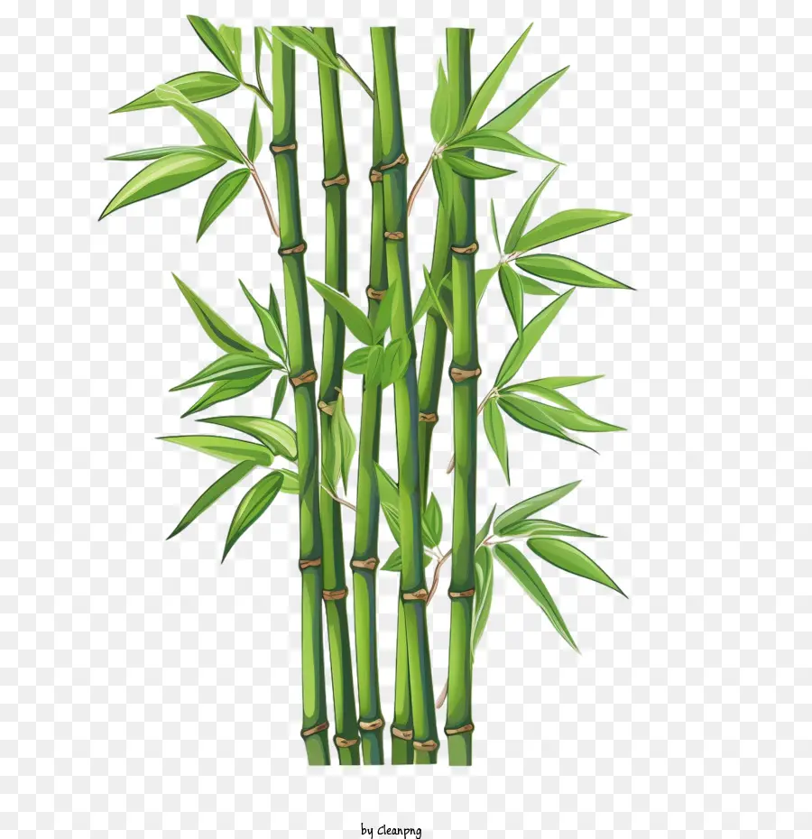 Bambu，Verde PNG