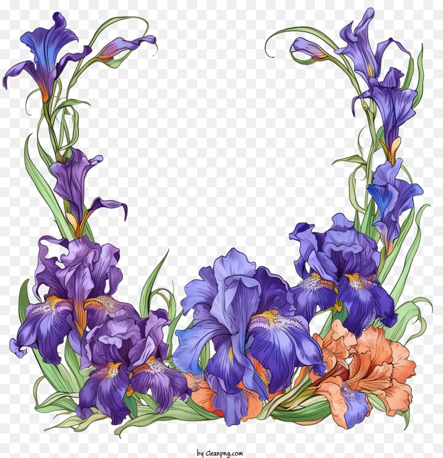 Flor De Iris，íris Roxo PNG