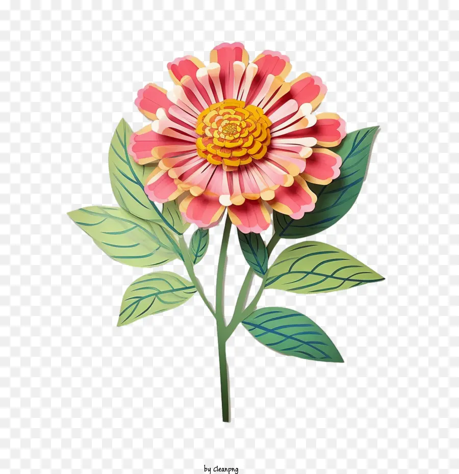 Flor Da Zinnia，Flor PNG