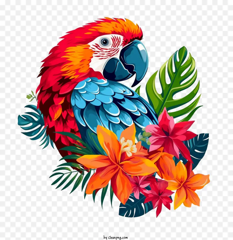 Papagaio，Tropical PNG