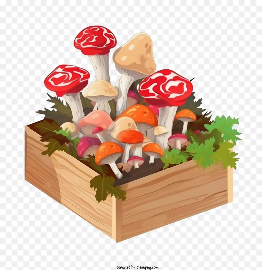 Cogumelos，Wooden Box PNG