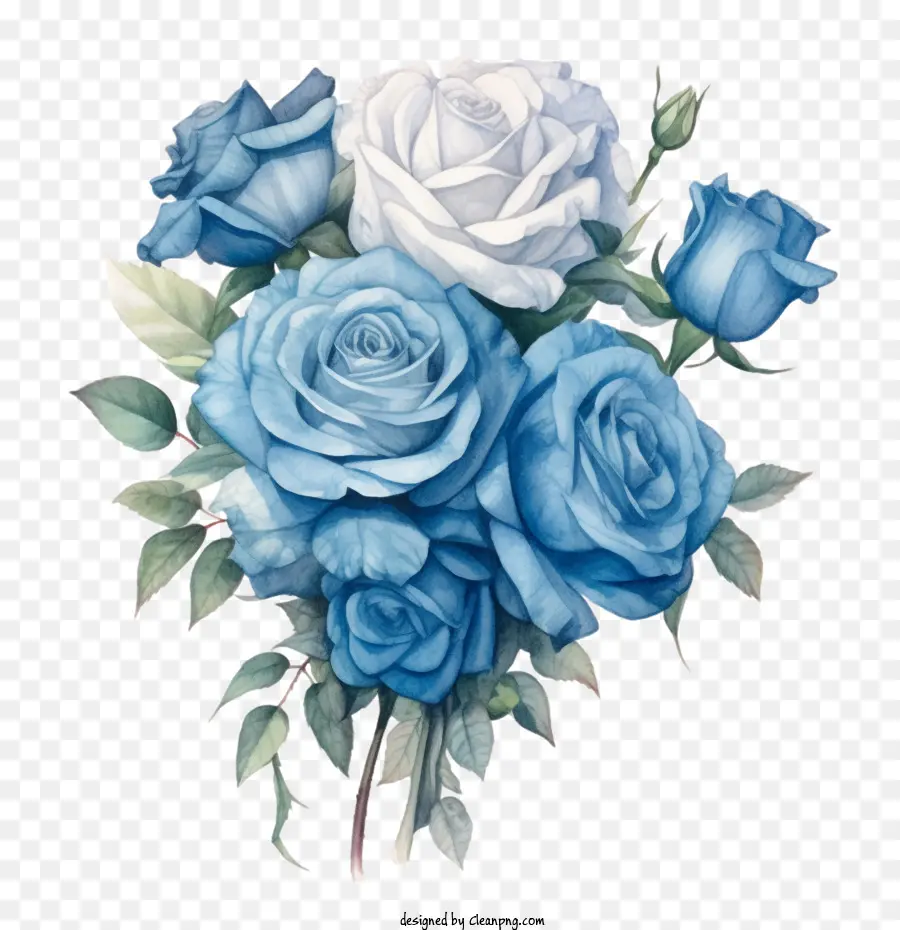 Rosa Azul，Rosas PNG