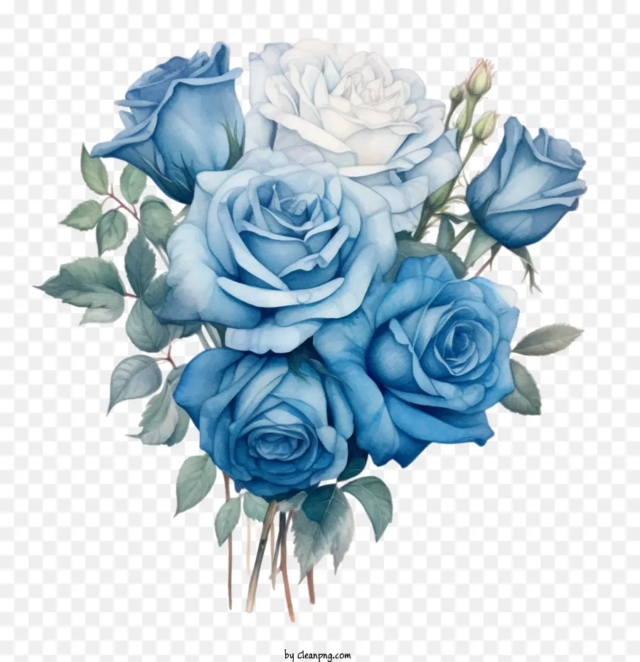 Rosa Azul，Rosas Azuis PNG