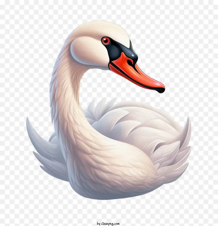 Cisne，Ilustração De Cisne PNG