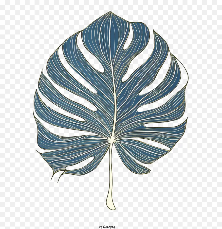 Monstera Folha，Monstera PNG