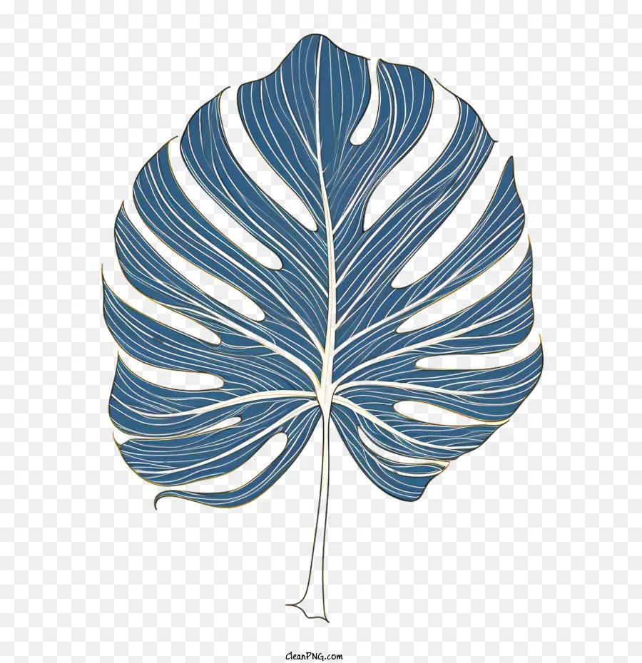 Monstera Folha，Deixa PNG