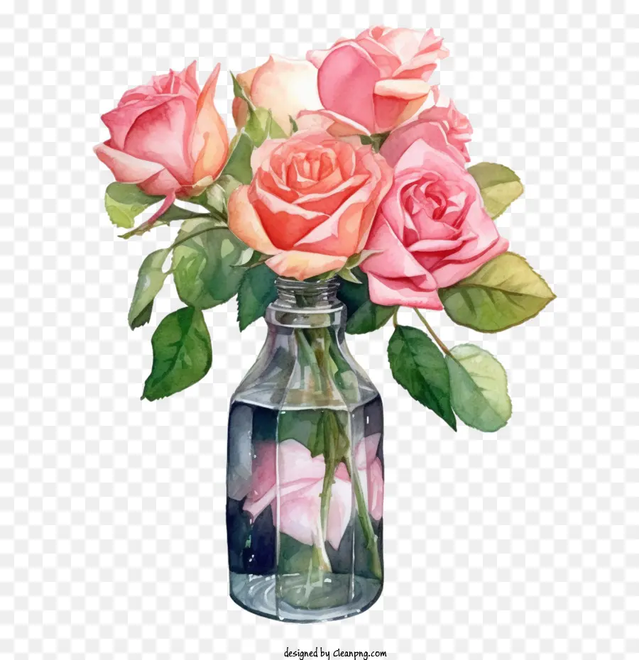 Rosa Rosa，Garrafa PNG