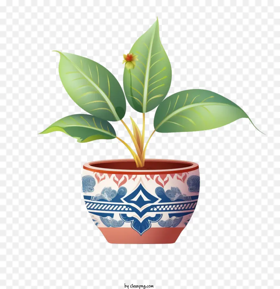 Planta，Pote PNG