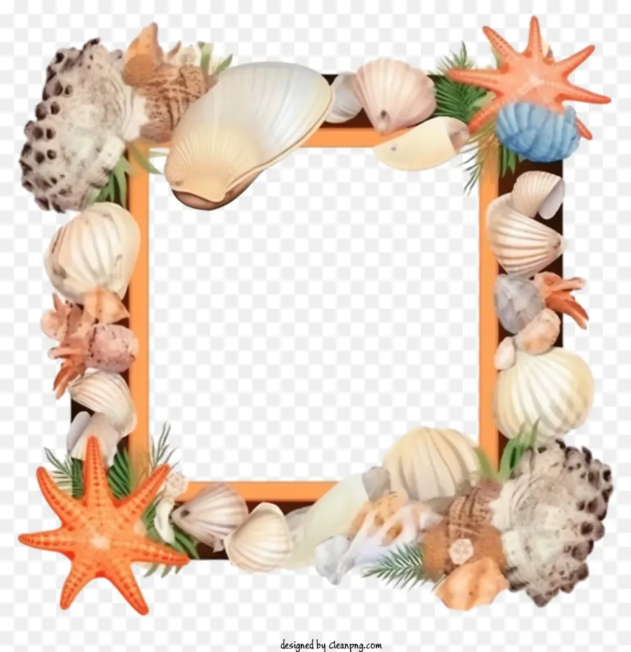 Quadro Quadrado De Concha，Seashell Quadro PNG