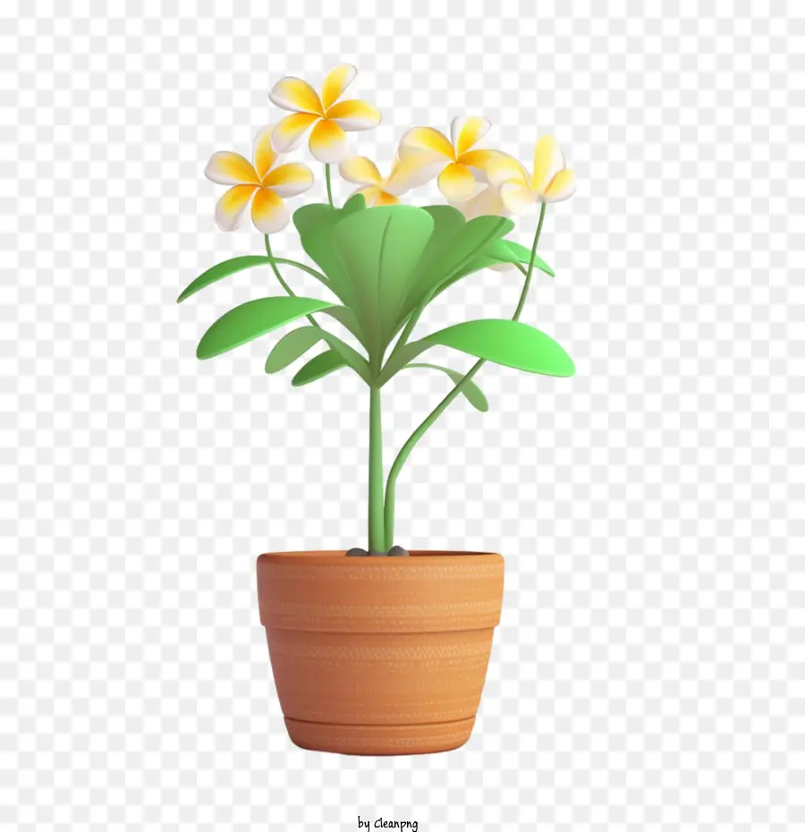 Plumeria，Vaso De Flores PNG
