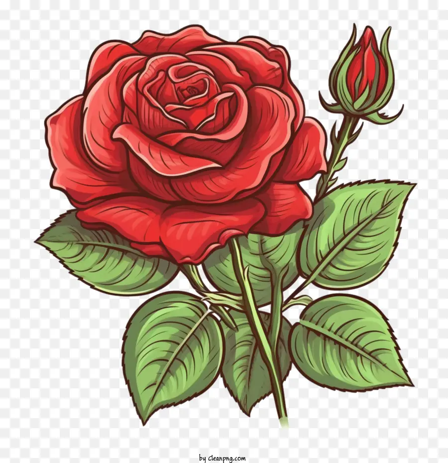 Rosa Vermelha，Vintage Rosa Vermelha PNG