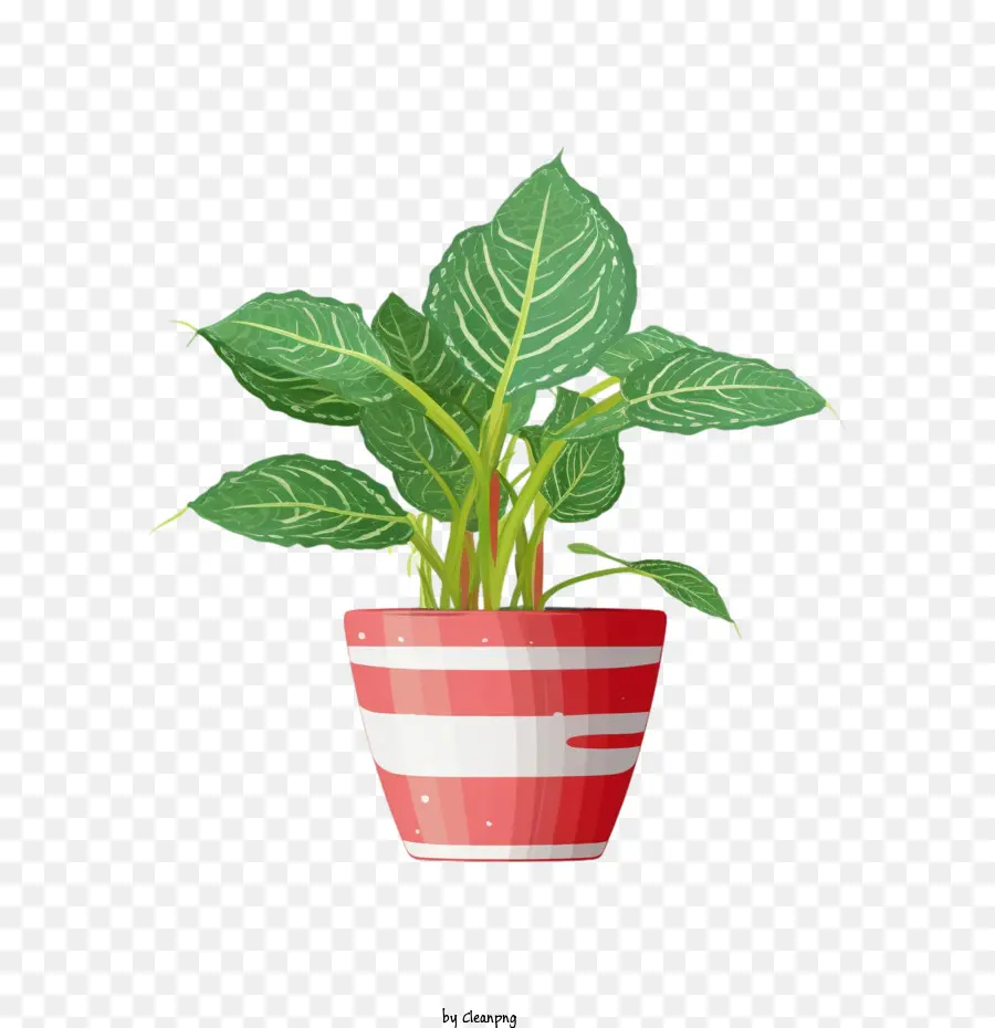 Mudo De Cana De，Um Vaso De Planta PNG