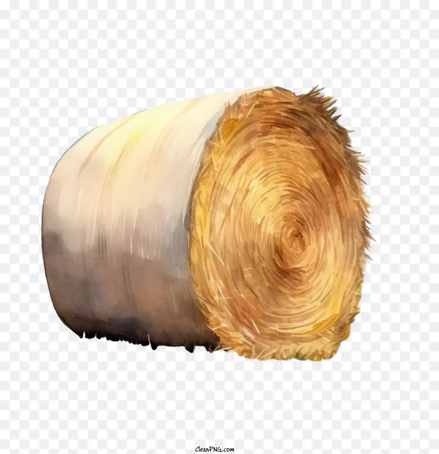 Hay Bale，Palheiro PNG