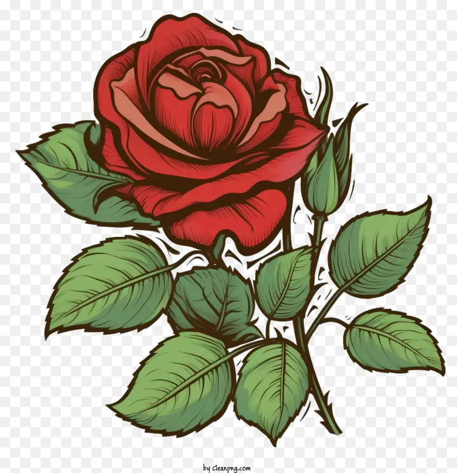 Vintage Rose，Rosa Vermelha PNG